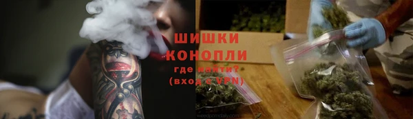 сатива Покачи