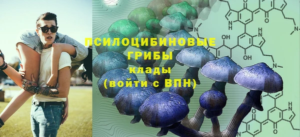 прущая мука Алексин