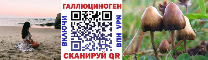 купить наркоту  МЕГА ССЫЛКА  Галлюциногенные грибы ЛСД  Калач-на-Дону 